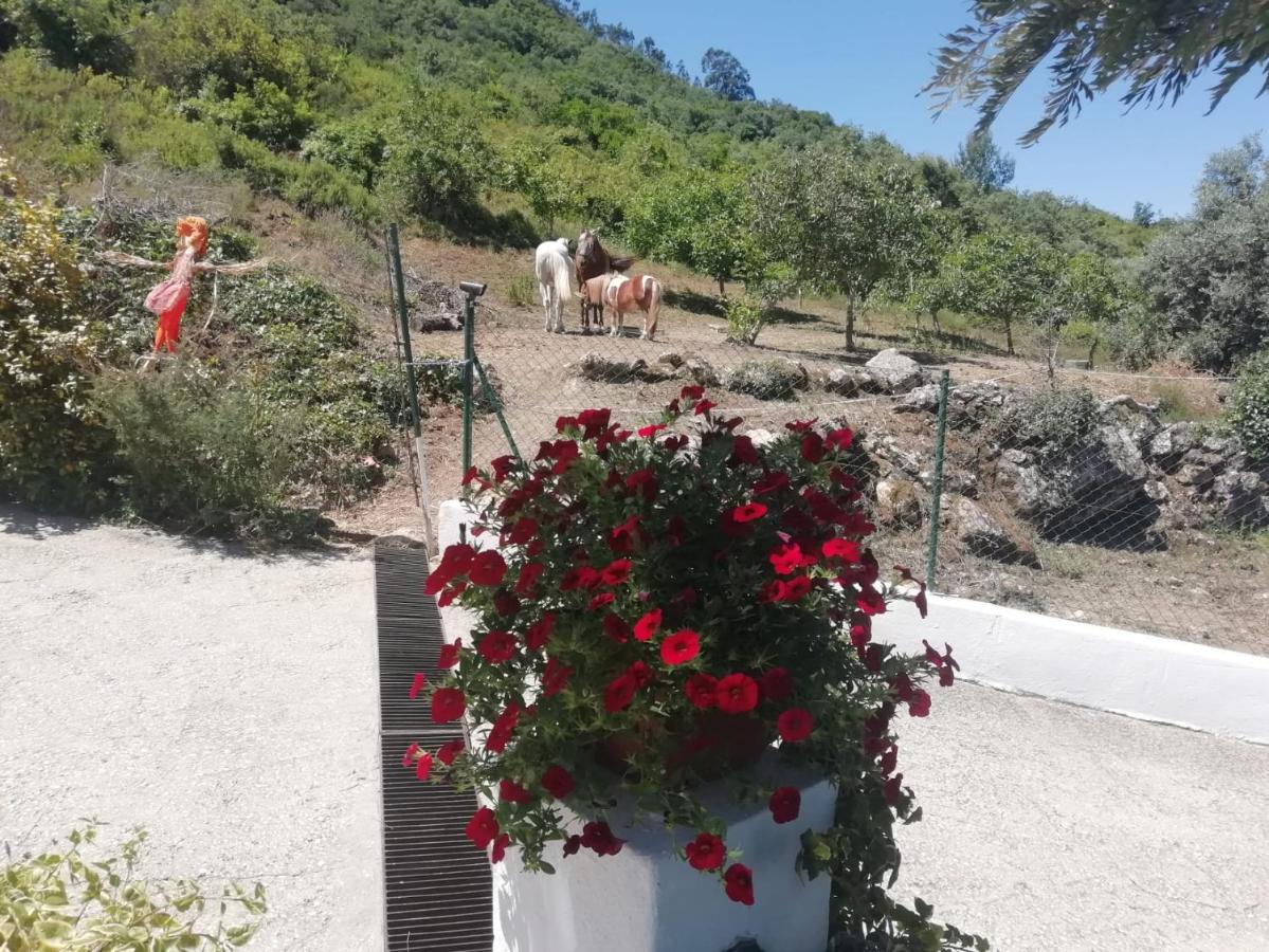 Casinha Da Lareira - Quintinha Dos Cavalos- Arruda Dos Vinhos Βίλα Εξωτερικό φωτογραφία