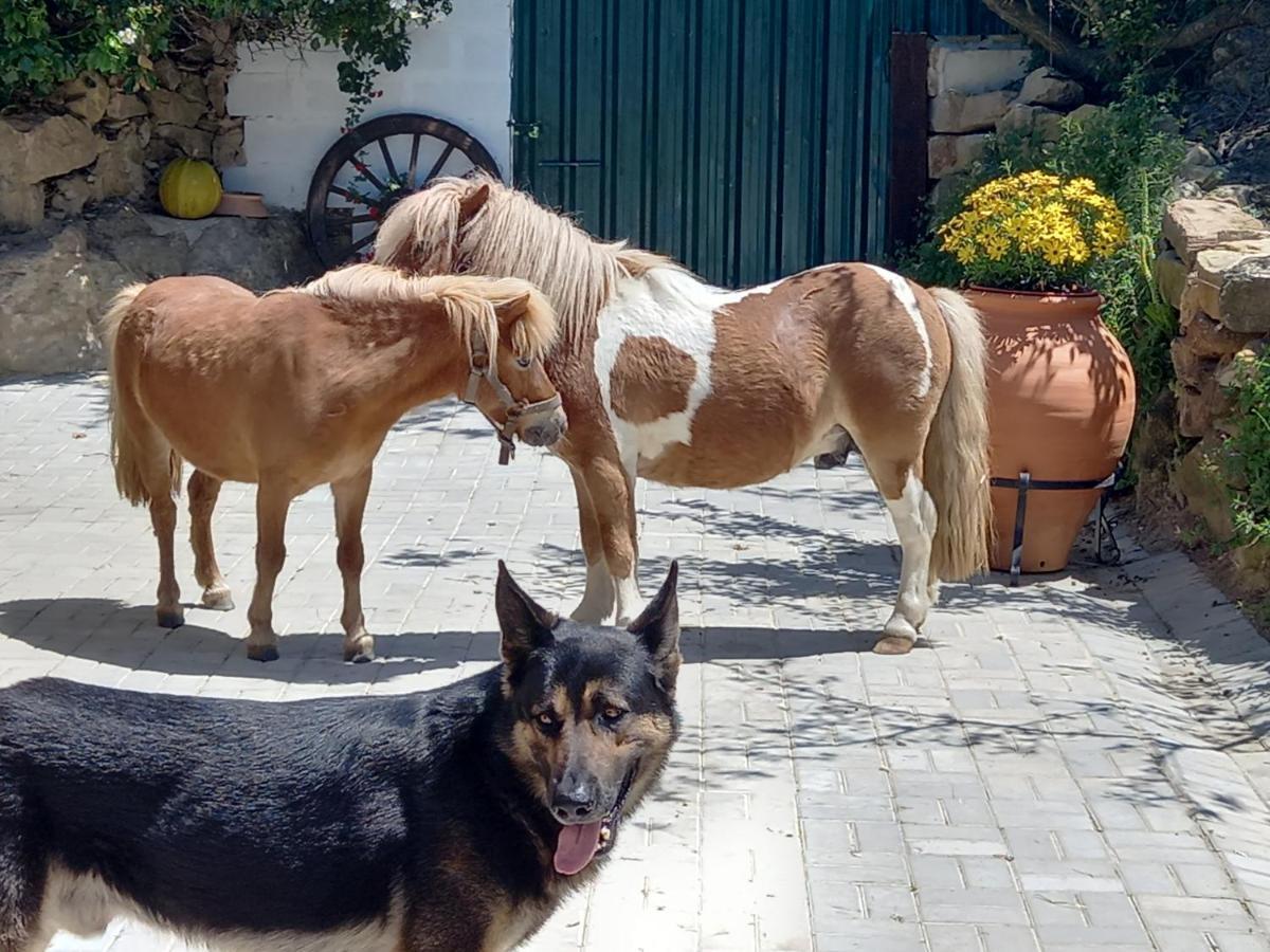 Casinha Da Lareira - Quintinha Dos Cavalos- Arruda Dos Vinhos Βίλα Εξωτερικό φωτογραφία