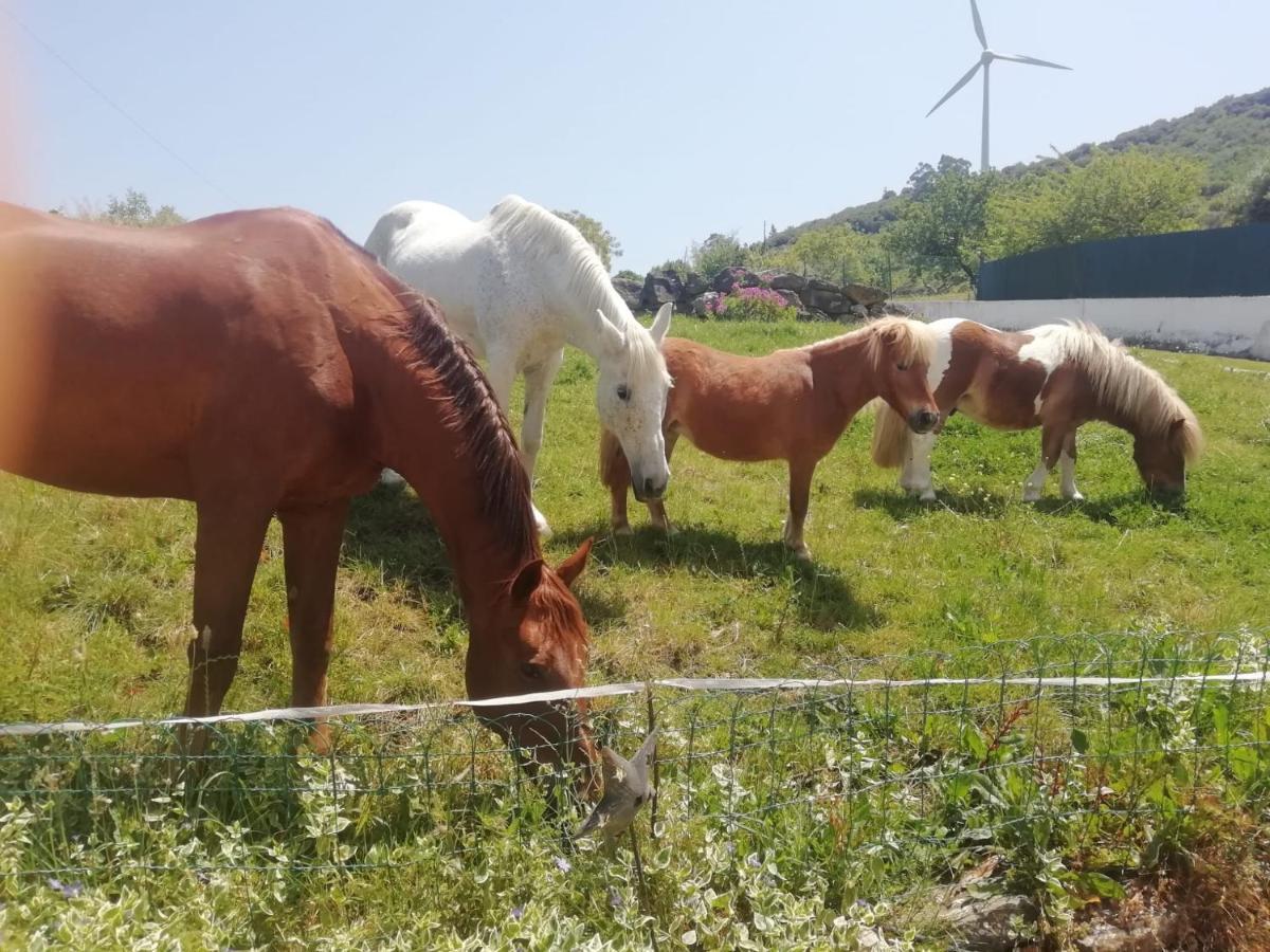 Casinha Da Lareira - Quintinha Dos Cavalos- Arruda Dos Vinhos Εξωτερικό φωτογραφία