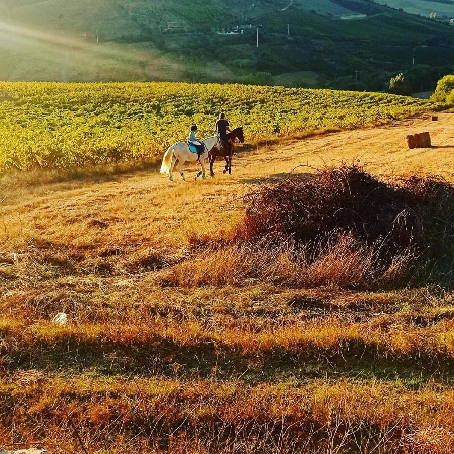 Casinha Da Lareira - Quintinha Dos Cavalos- Arruda Dos Vinhos Εξωτερικό φωτογραφία