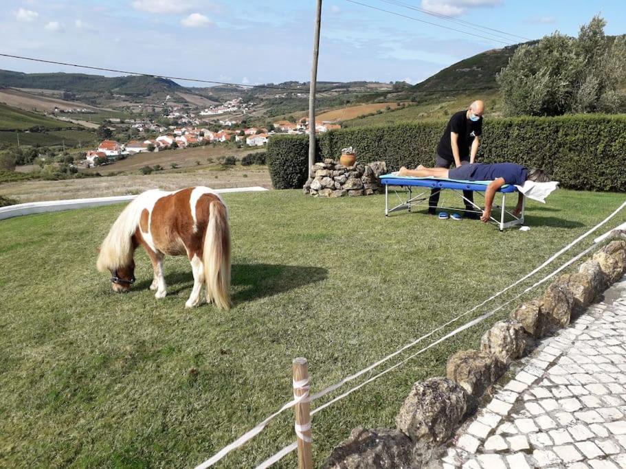 Casinha Da Lareira - Quintinha Dos Cavalos- Arruda Dos Vinhos Εξωτερικό φωτογραφία